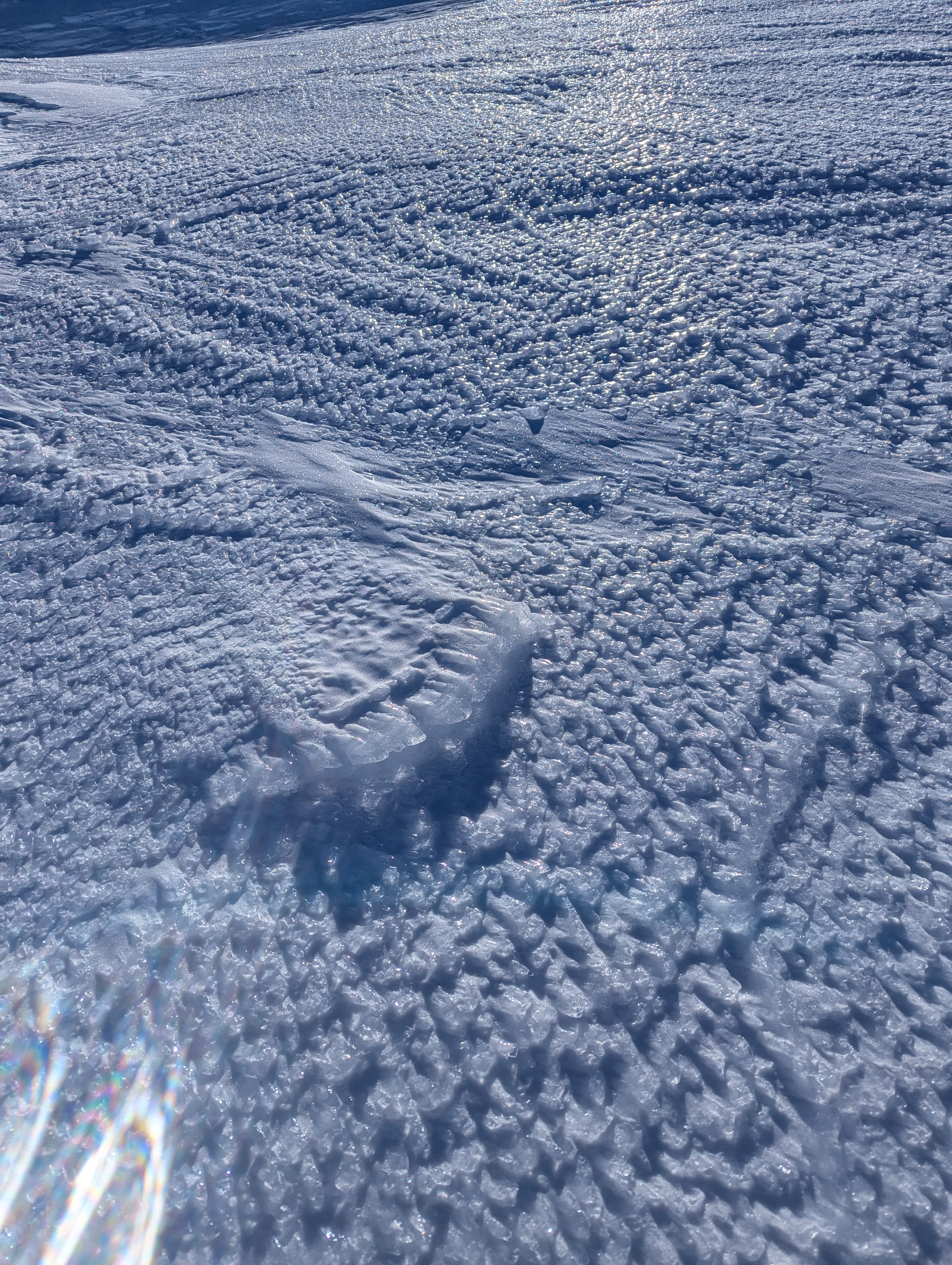 Interesting wind-blown ice on Mt. Bachelor