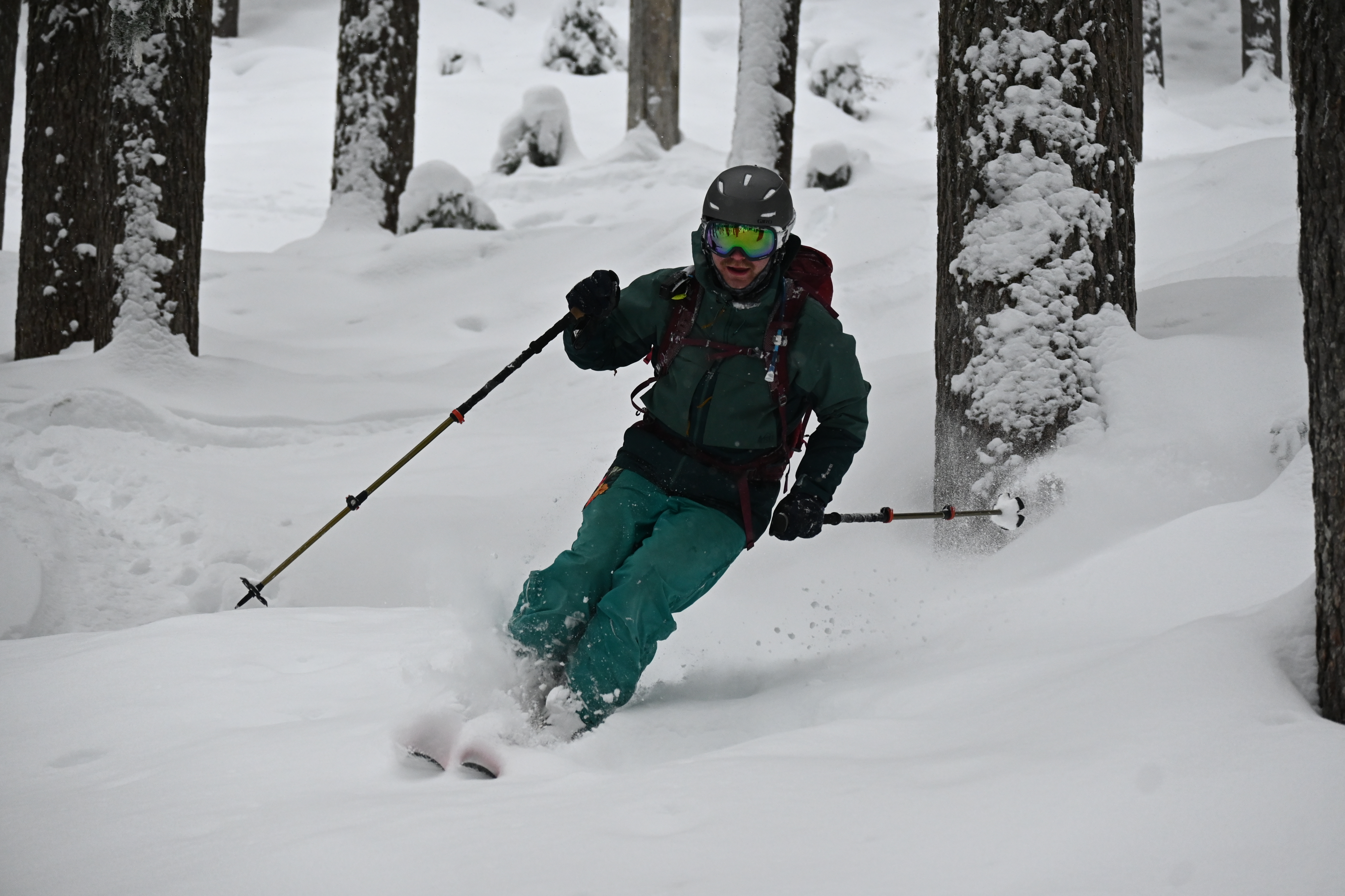 A skier decending through open trees