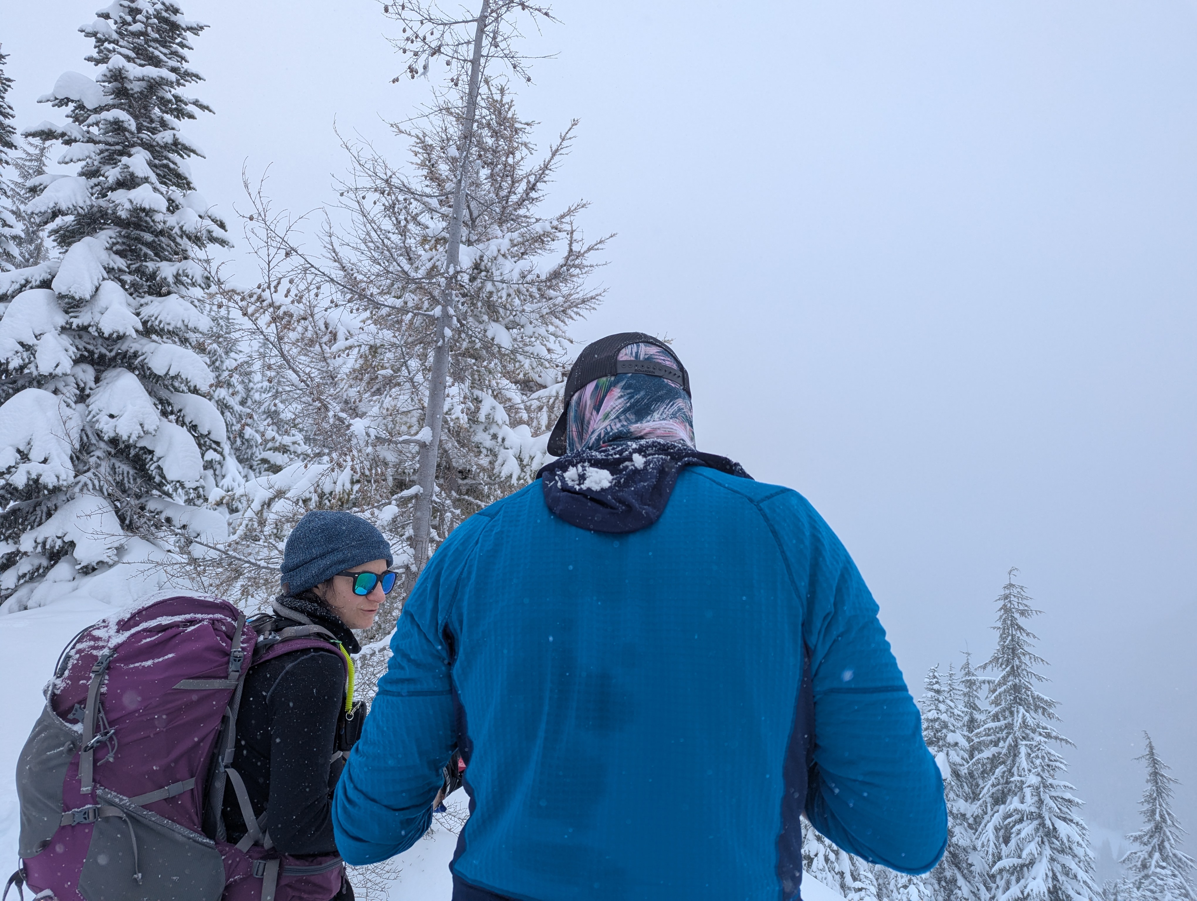 Two skiers looking into the fog