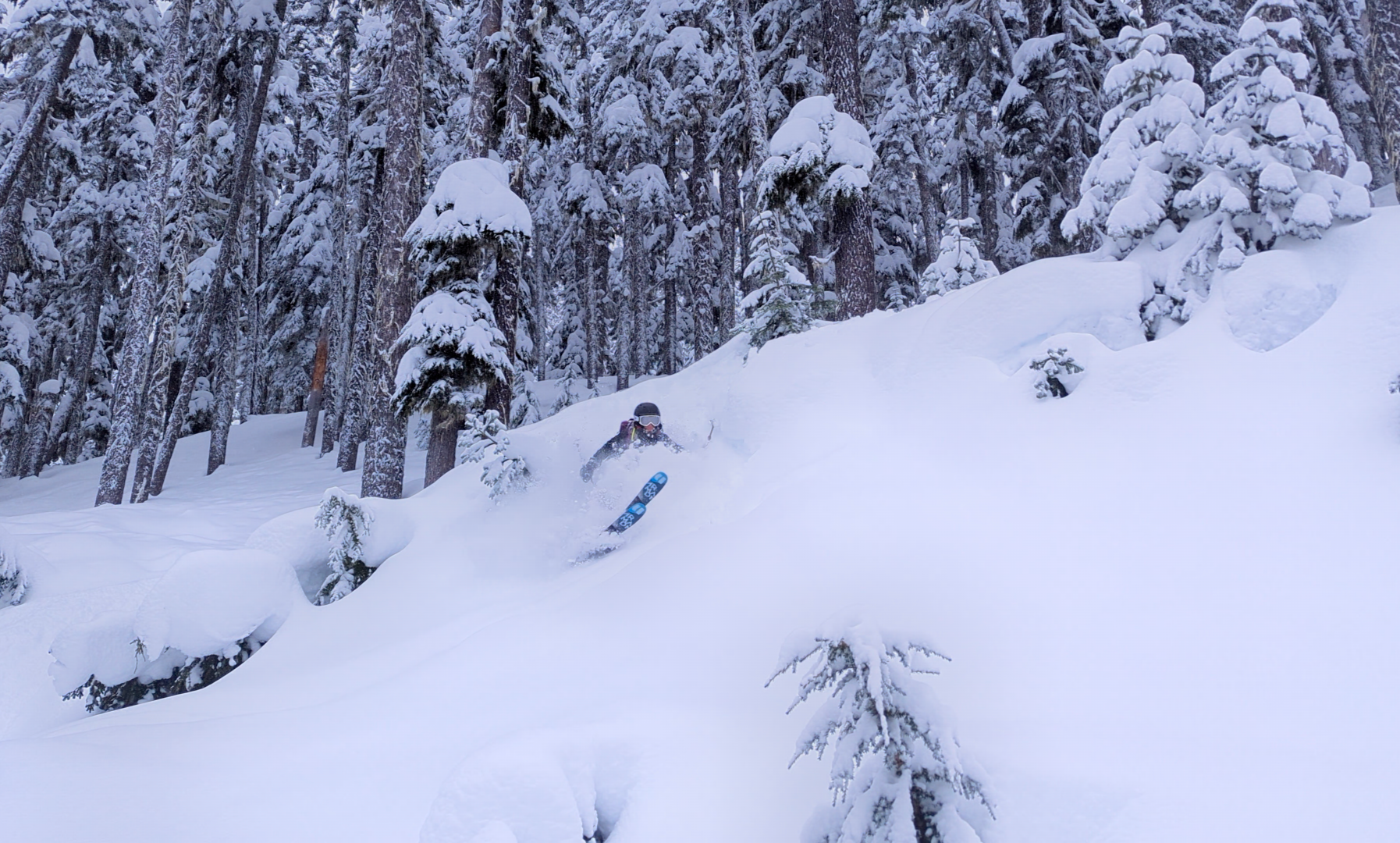 Anna mid-send