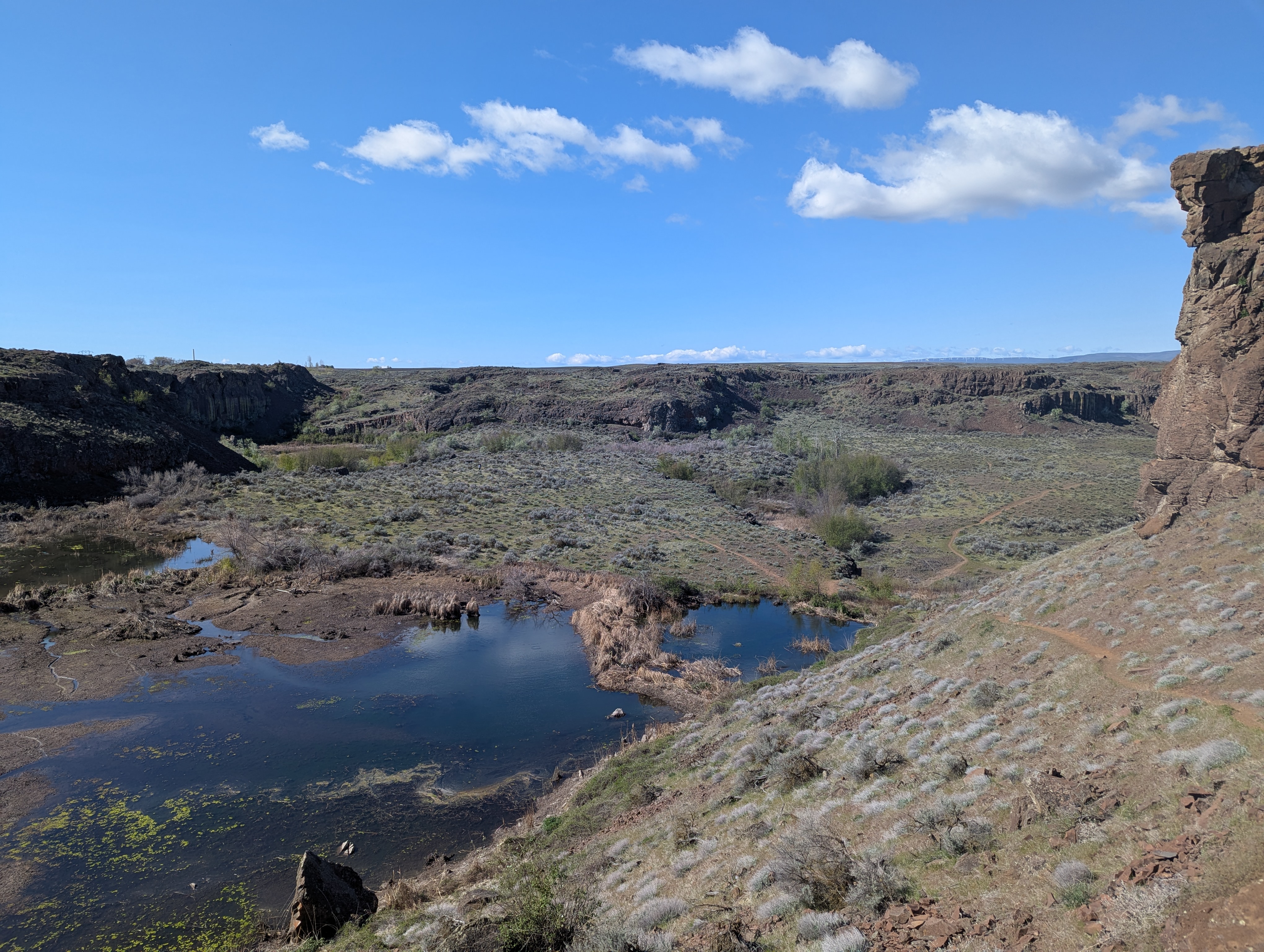 A rather dirty lake, with nice trails through the surrounding brush