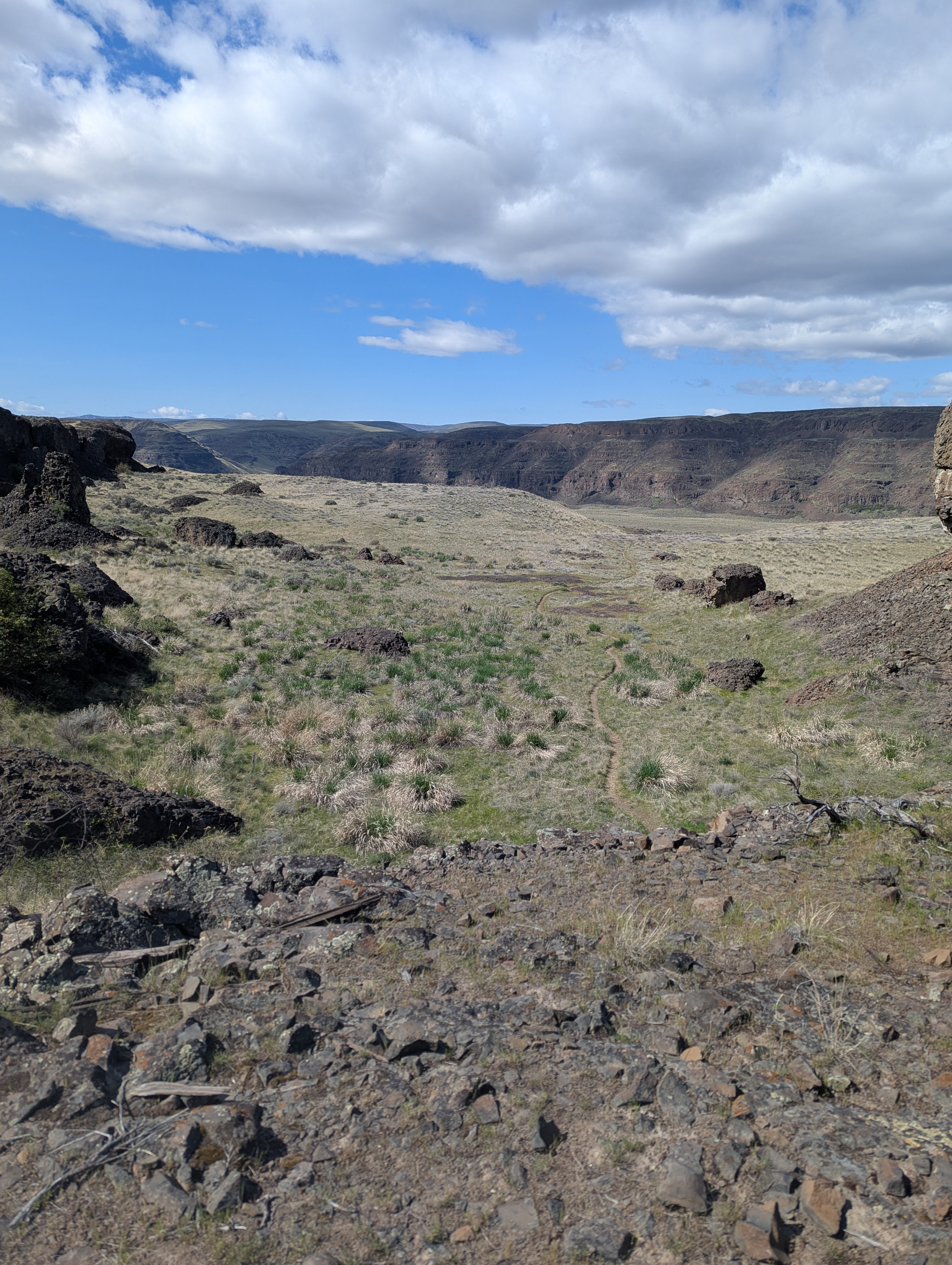An open plain with a trail running through it