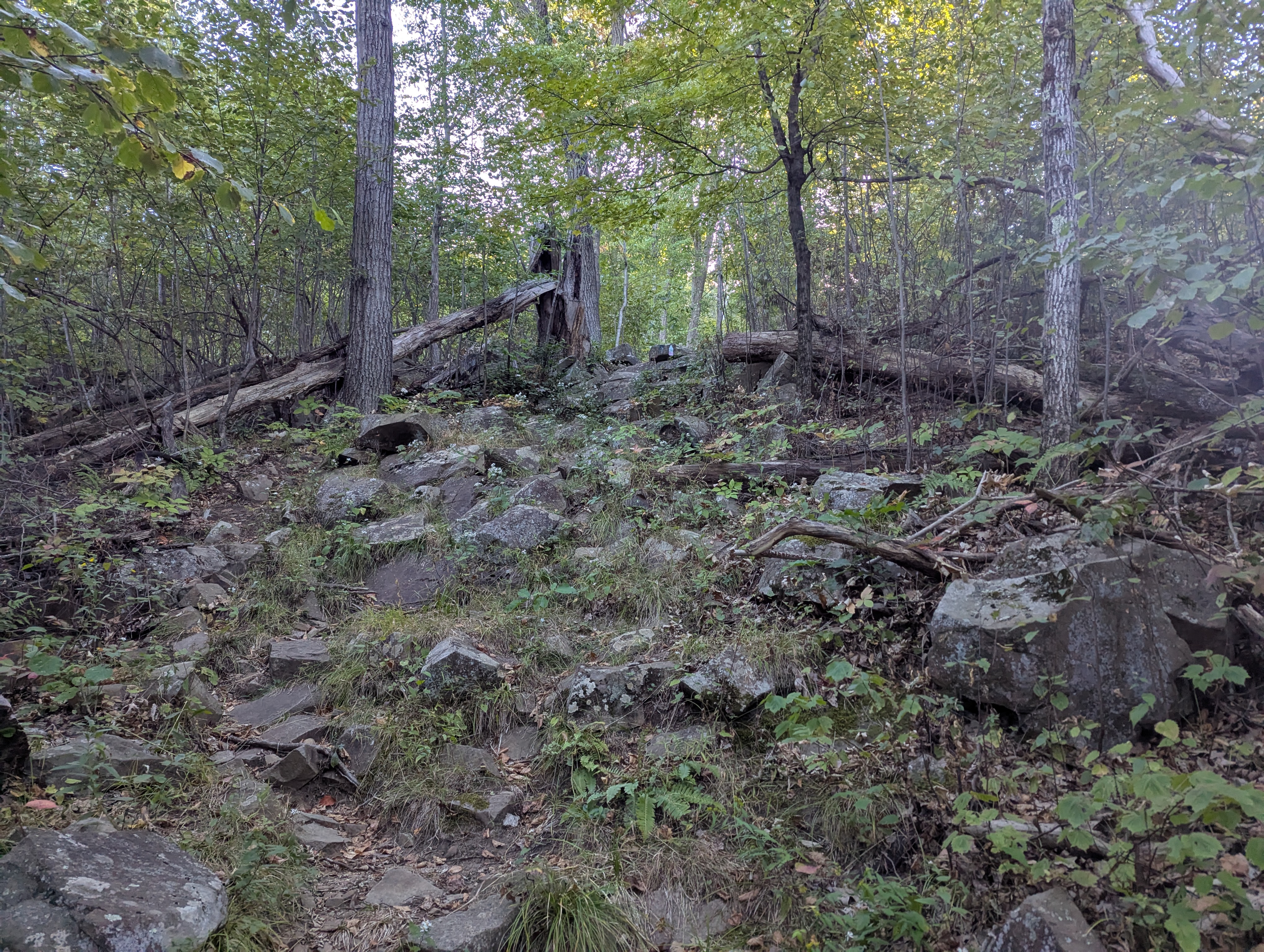 A rocky uphill