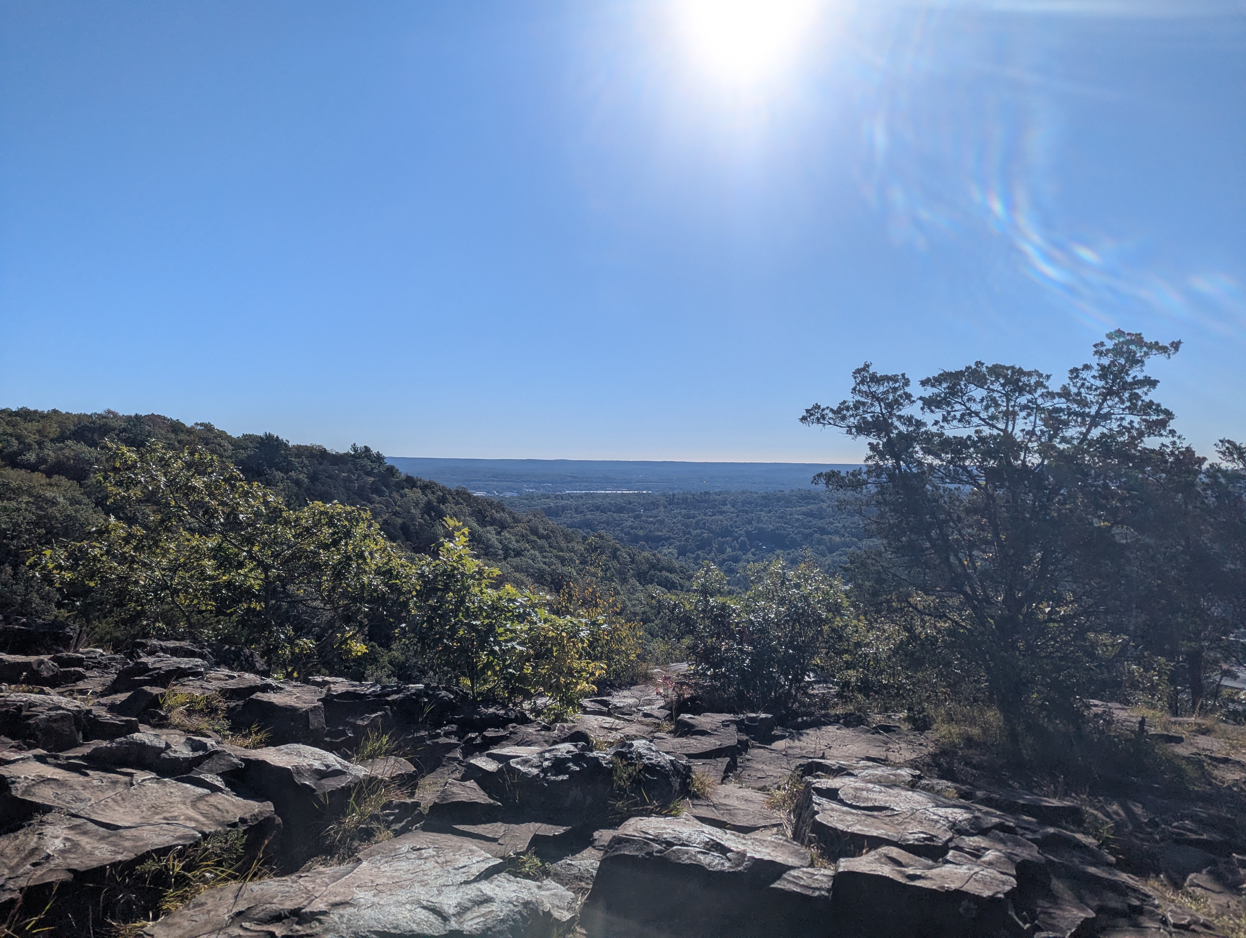 A view of flat treed terrain from above
