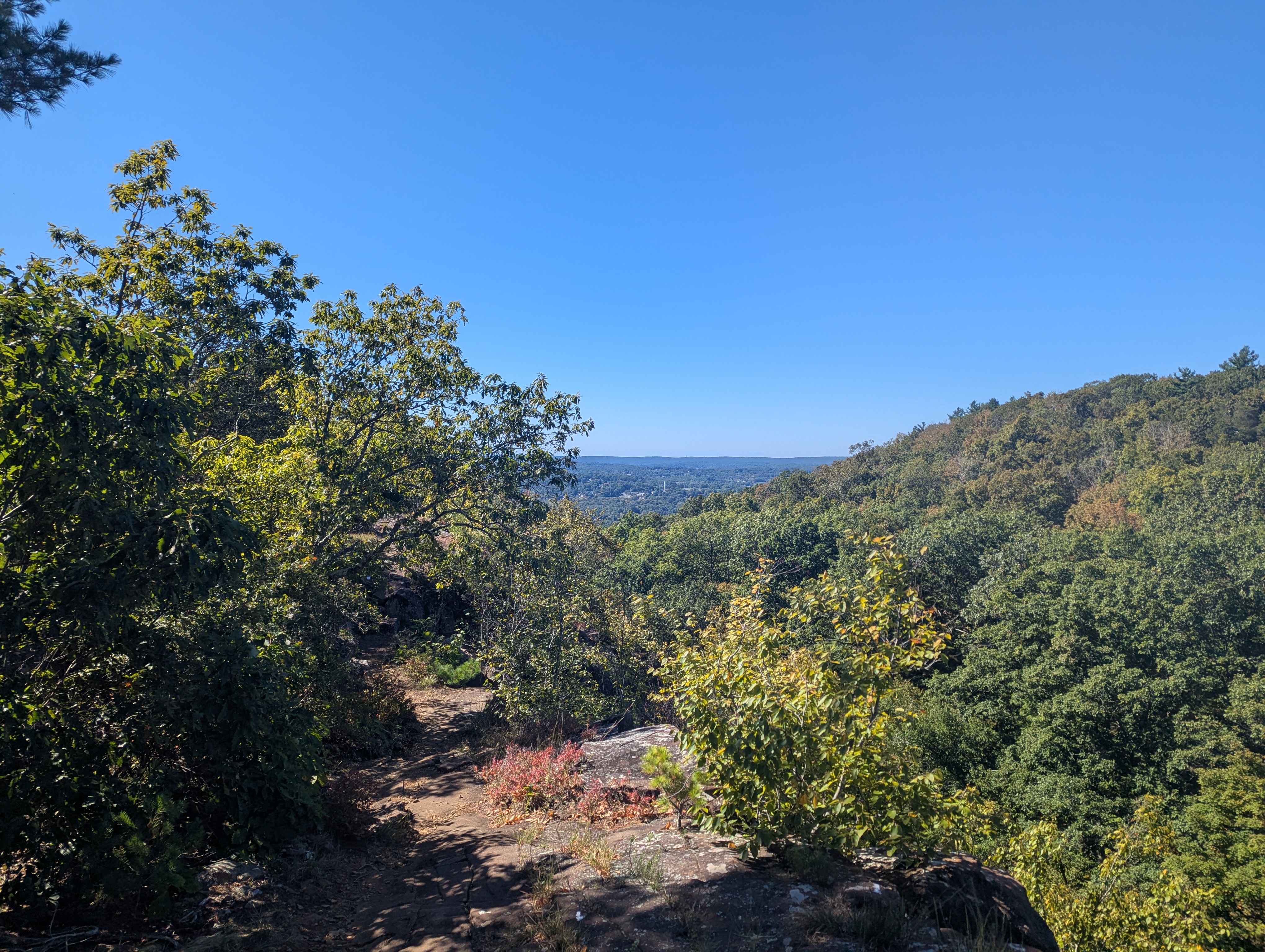 More views of treed terrain