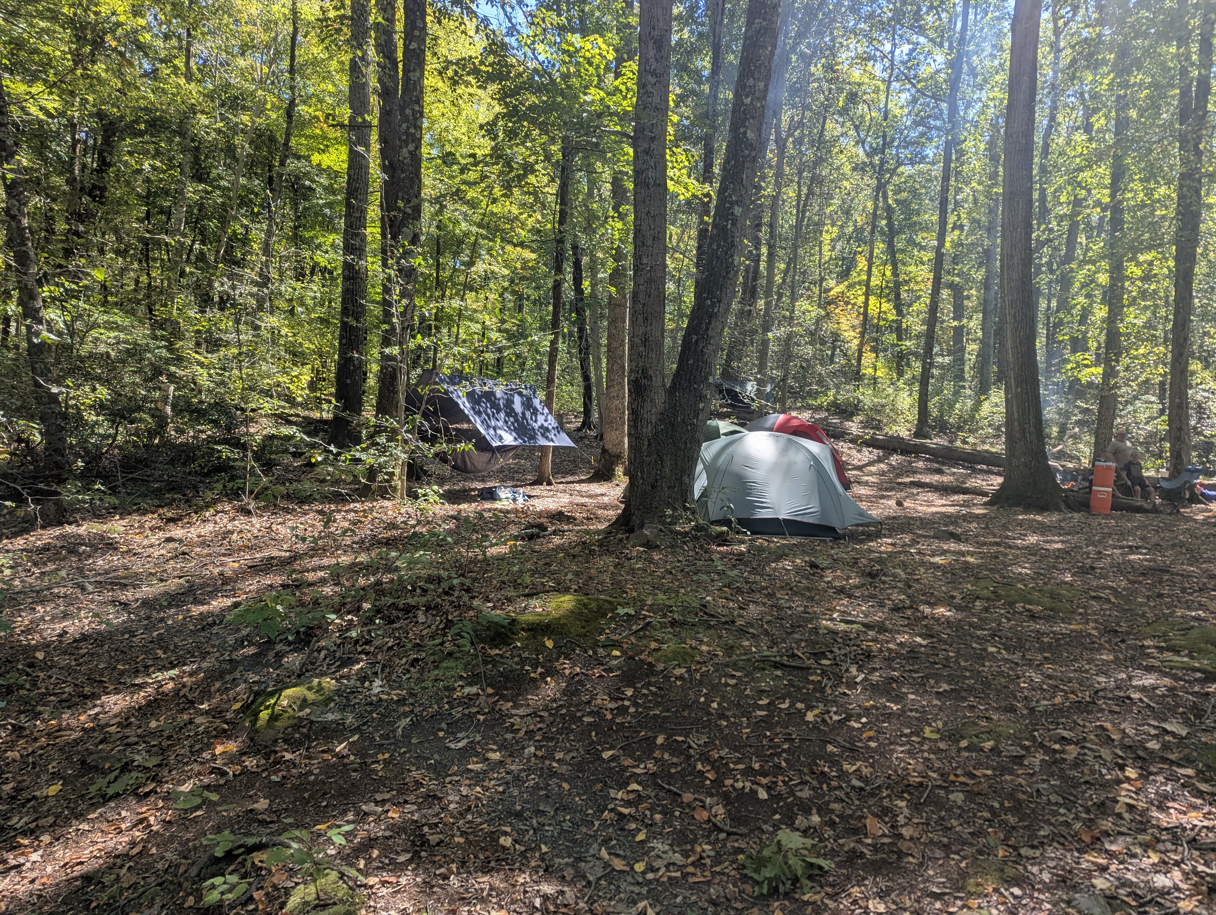 Some tents in the trees