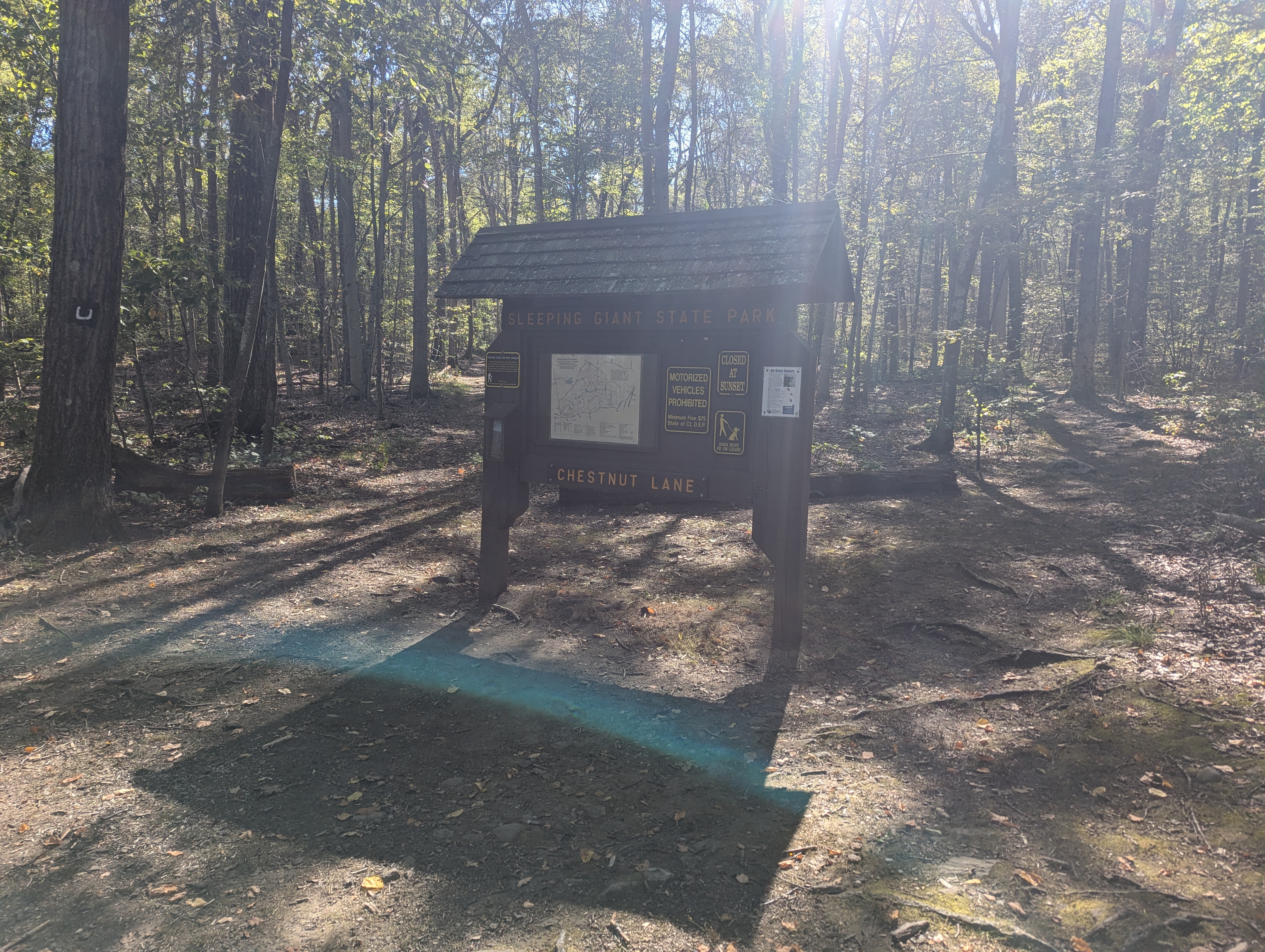 The Chestnut Lane Trail Sign. AGAIN