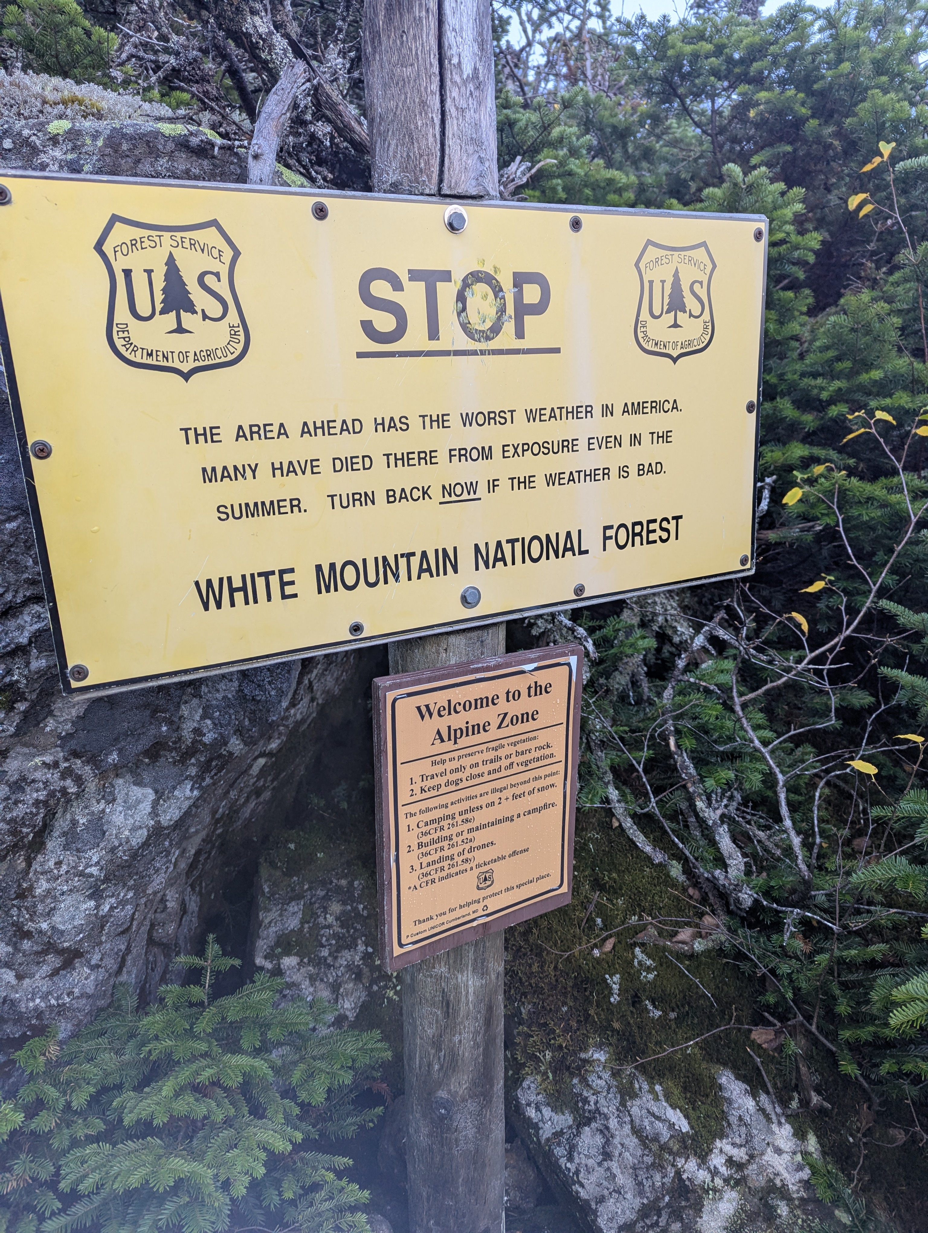 A yellow sign reading: 'Stop, The area ahead has the worst weather in America. Many have died there from exposure even in the summer. Turn back now if the weather is bad.' A smaller sign below reads 'Welcome to the Alpine Zone' and describes how to preserve the alpine vegetation.