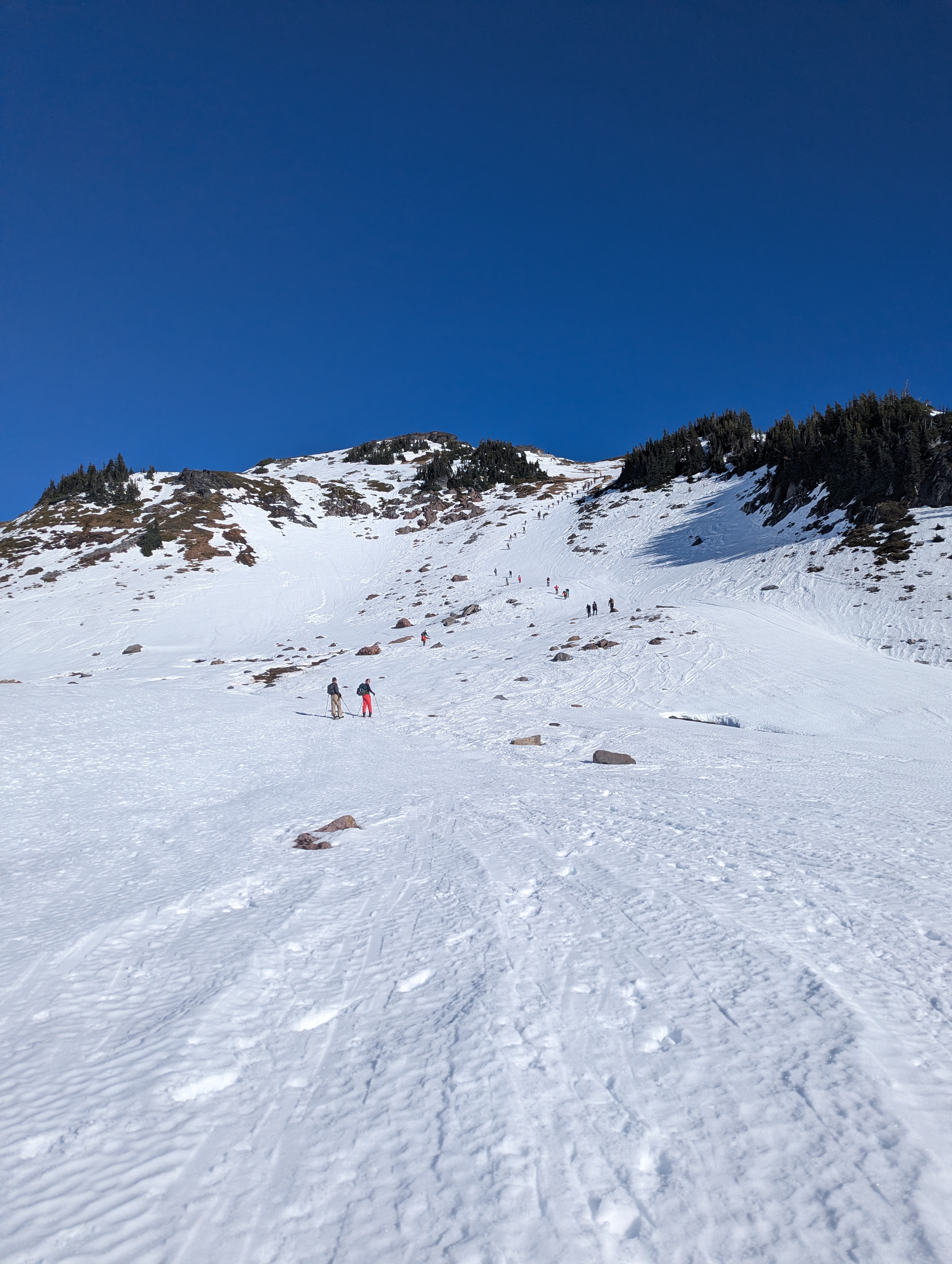 An almost-groomed looking slope, with a train of people climbing up on the left side